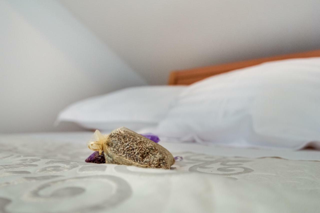 Studio Maslina Apartment Sibenik Ngoại thất bức ảnh